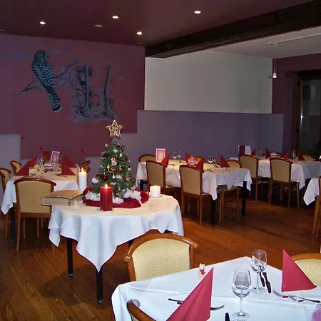 Le Falken Hotell Philippsbourg