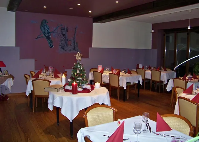 Le Falken Hotel Philippsbourg